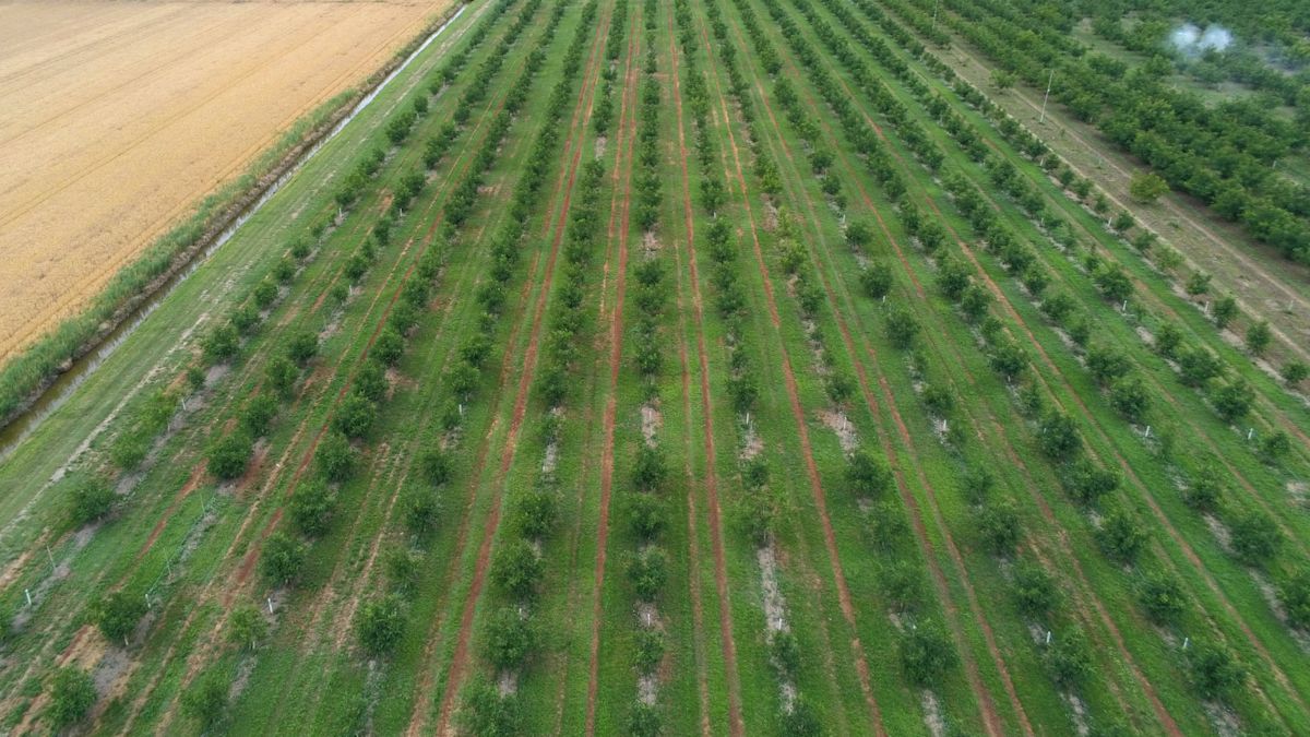 Agricultural Drone Photography Coming Soon